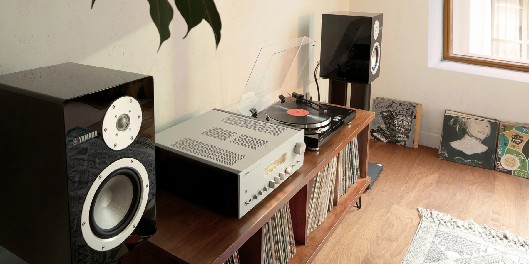 5 piliers essentiels de l’écoute audiophile | Sonxplus La Sarre