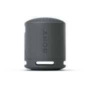 Sony SRS-XB100 | Haut-parleur portatif - Sans fil - Bluetooth - IP67 - Noir-SONXPLUS La Sarre