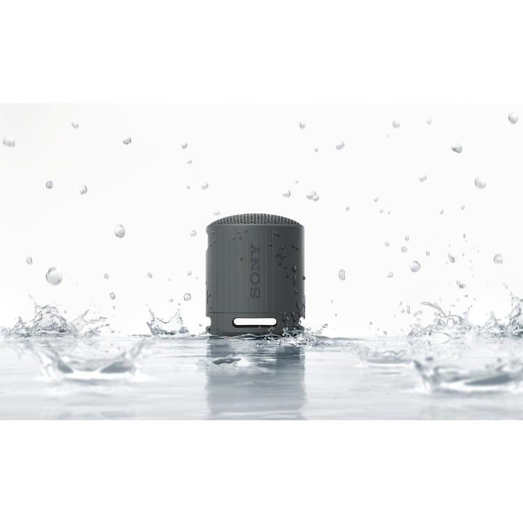 Sony SRS-XB100 | Haut-parleur portatif - Sans fil - Bluetooth - IP67 - Noir-SONXPLUS La Sarre