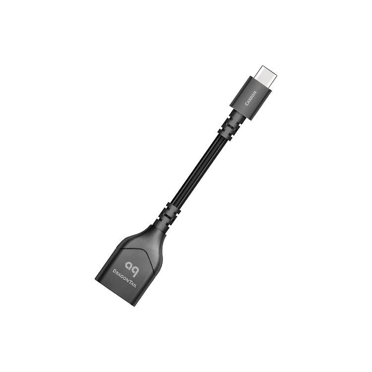 Audioquest DragonTail | Câble USB mâle à femelle - USB 0,112m - Noir-SONXPLUS La Sarre