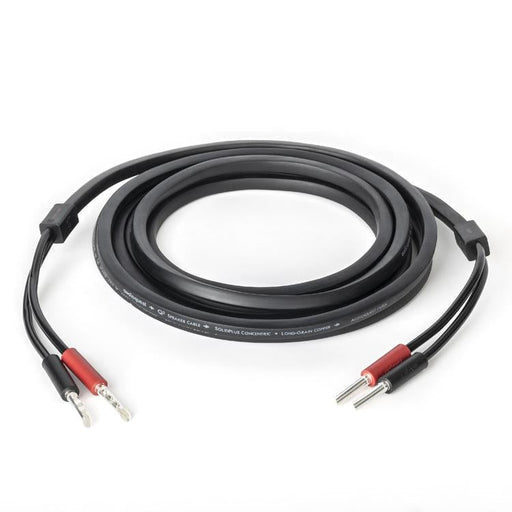 Audioquest Q2 | Câble haut-parleur - Conducteur interne en cuivre à grain long (LGC) - 10 Pieds-Sonxplus La Sarre