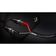 Audioquest Q2 | Câble haut-parleur - Conducteur interne en cuivre à grain long (LGC) - 10 Pieds-SONXPLUS La Sarre
