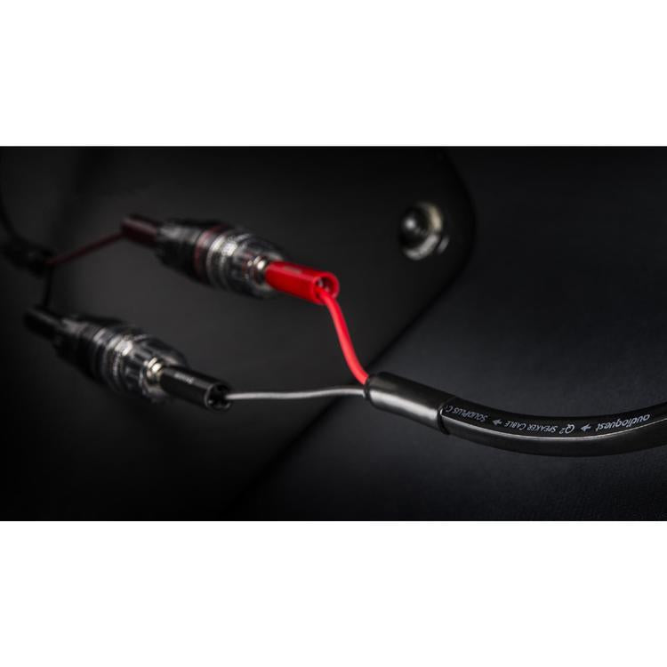 Audioquest Q2 | Câble haut-parleur - Conducteur interne en cuivre à grain long (LGC) - 10 Pieds-SONXPLUS La Sarre
