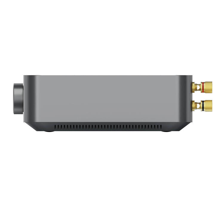 WiiM AMP | Streaming Audio - Amplificateur de classe D à 2 canaux de +60W-Sonxplus La Sarre