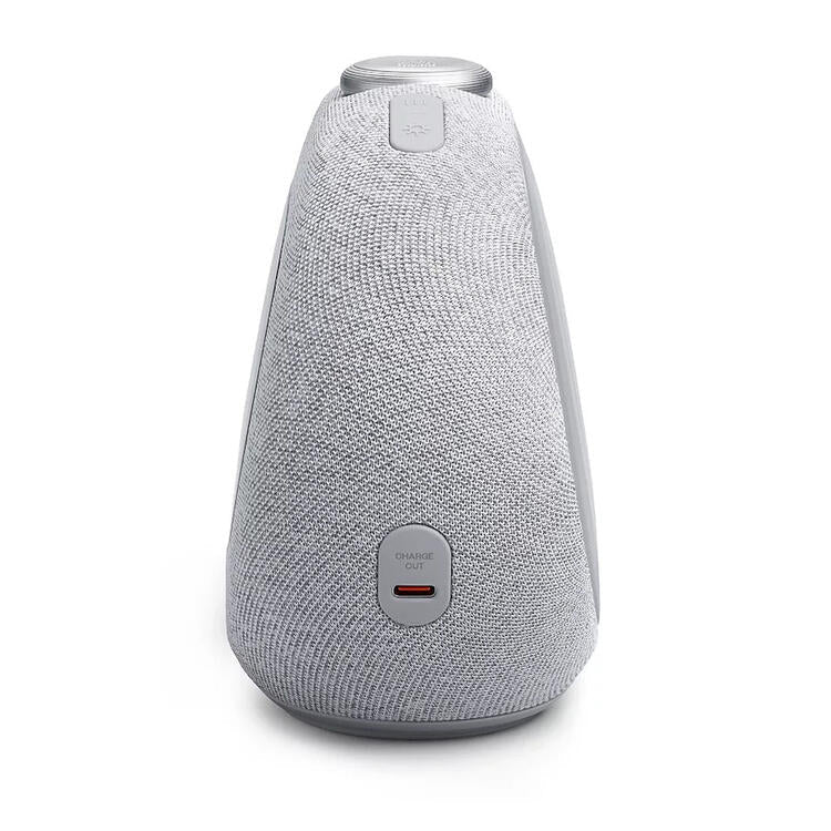 JBL HORIZON 3 | Radio-réveil - Bluetooth - Lumière LED - Stéréo - Gris-SONXPLUS La Sarre
