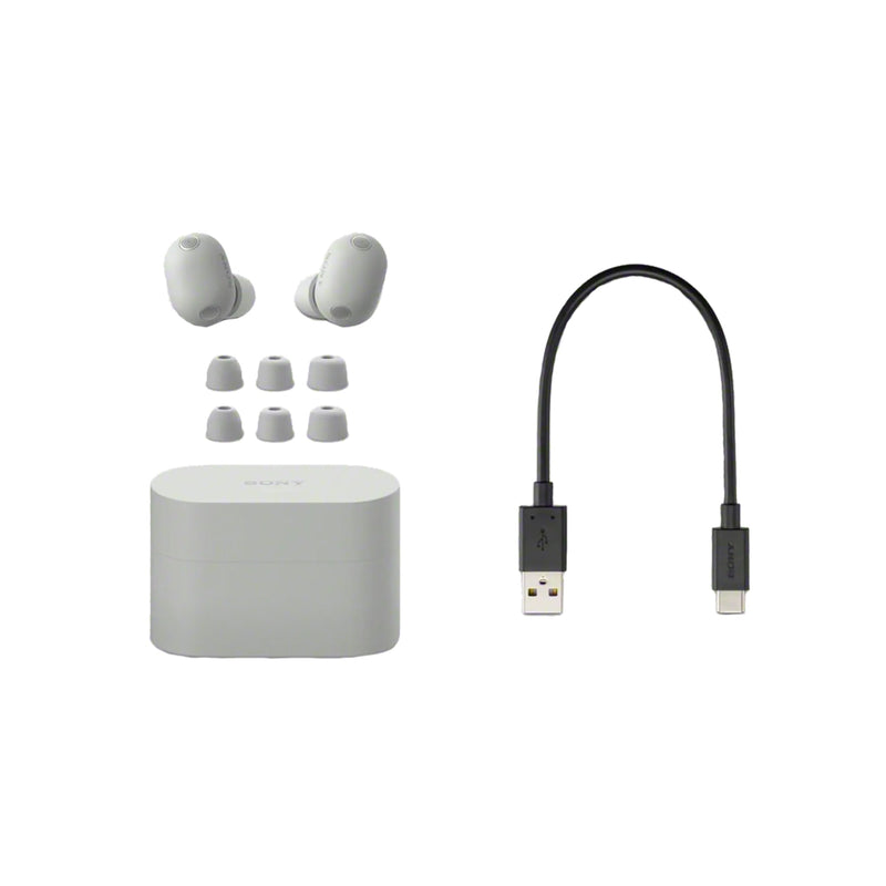 Sony WF-1000XM6 | Écouteurs intra-auriculaires - Jusqu'à 24 heures d'autonomie - Argent Platinum | 04 | Sonxplus La Sarre